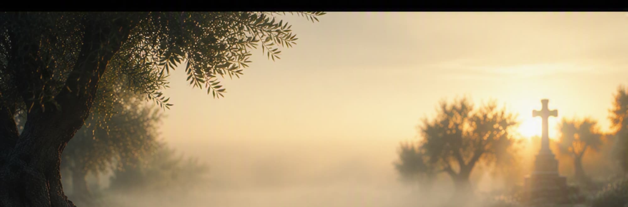 Cruz de piedra de un camposanto entre la niebla del amanecer, bajo un olivo.